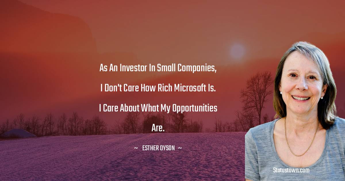 Esther Dyson Quotes - As an investor in small companies, I don't care how rich Microsoft is. I care about what my opportunities are.